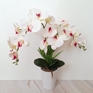 Két szálas orchidea dekoráció kerámia kaspóban - otthon & életmód - virágdekoráció - virágdíszek - virágdísz kaspóban - Meska.hu