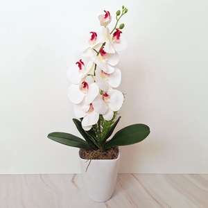 Orchidea dekoráció kerámia kaspóban X. - otthon & életmód - virágdekoráció - virágdíszek - virágdísz kaspóban - Meska.hu