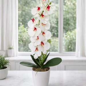 Orchidea dekoráció kerámia kaspóban X., Otthon & Életmód, Virágdekoráció, Virágdíszek, Virágdísz kaspóban, , MESKA