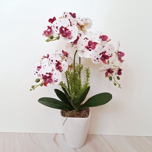 Orchidea dekoráció kerámia kaspóban-pettyes II. - otthon & életmód - virágdekoráció - virágdíszek - virágdísz kaspóban - Meska.hu