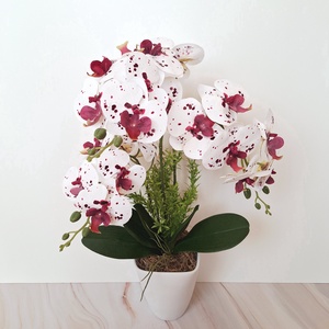 Orchidea dekoráció kerámia kaspóban-pettyes II. - otthon & életmód - virágdekoráció - virágdíszek - virágdísz kaspóban - Meska.hu