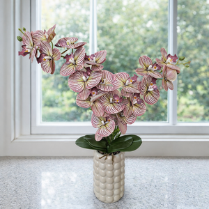 Két szálas orchidea dekoráció kerámia kaspóban II., Otthon & Életmód, Virágdekoráció, Virágdíszek, Virágdísz kaspóban, Virágkötés, MESKA