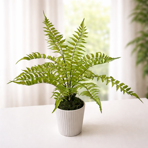 Élethű páfrány kerámia kaspóban, Otthon & Életmód, Virágdekoráció, Virágdíszek, Virágdísz kaspóban, , MESKA