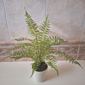 Élethű páfrány kerámia kaspóban - otthon & életmód - virágdekoráció - virágdíszek - virágdísz kaspóban - Meska.hu