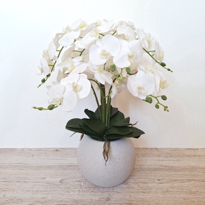 Sokvirágú orchidea dekoráció  - otthon & életmód - virágdekoráció - virágdíszek - virágdísz kaspóban - Meska.hu
