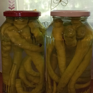 Pepperoni savanyúság , Élelmiszer, Gyümölcs, zöldség, , MESKA