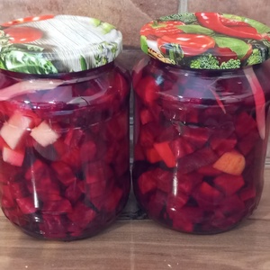 Fermentált cékla,alma, rozmaring és gyömbér , Élelmiszer, Gyümölcs, zöldség, , MESKA