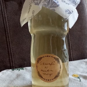 Citromfű és menta szörp , Élelmiszer, Szörp, , 0.5 l üvegben , MESKA