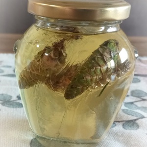 Fenyőtobozos méz , Élelmiszer, Méz & Propolisz, , 314 ml üvegben.
Fenyőtoboz mézzel:
Nyákoldó és köptető hatású, így enyhíti a hörghurut és a köhögés..., MESKA
