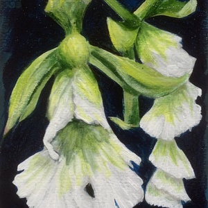Orchideaágak - keretezett akril - (20,5 x 15 cm) - Meska.hu