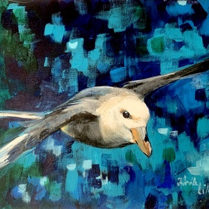 Északi sirály - Akrilfestmény - 18 x 24 cm - Meska.hu