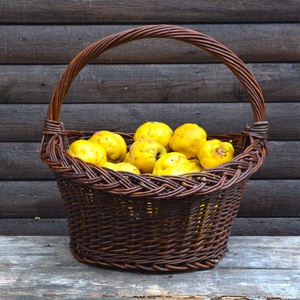 jan. 24. Budapest - ALMÁS KOSÁR hagyományos füllel - kosárfonó workshop - diy (csináld magad) - workshop & tanfolyam - Meska.hu