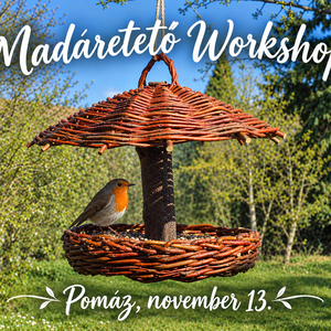 kosárfonó workshop Pomázon - madáretető készítés - nov. 13. - diy (csináld magad) - workshop & tanfolyam - Meska.hu