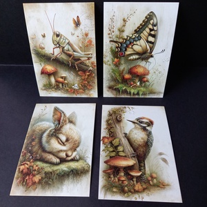 Erdei állatos képek dekoráláshoz 4 db 10x14,5 cm, Kellékek & szerszámok, Dekorációs kellékek, Egyéb kellékek, Mindenmás, Erdei álkatos témájú négy darabos kép szett dekoráláshoz,  önmagukban, vagy keretbe téve is jól mut..., MESKA