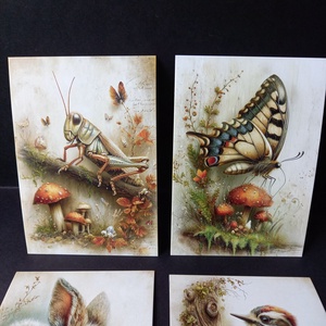 Erdei állatos képek dekoráláshoz 4 db 10x14,5 cm - kellékek & szerszámok - dekorációs kellékek - egyéb kellékek - Meska.hu