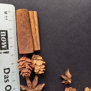 Fahéj, toboz, és száraz termés dekorációs alapanyag szett  - kellékek & szerszámok - dekorációs kellékek - termések, terméscsomagok - Meska.hu