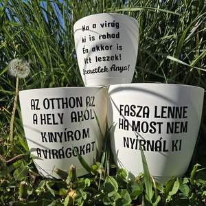 Virág kaspó , Otthon & Életmód, Virágdekoráció, Virágtartó, Kaspó, Mindenmás, Bármilyen szöveggel kérhető kis és nagy változatban.

Megjegyzésben írd le milyen szöveget szeretné..., MESKA