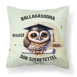 Ballagás 2026: bagoly mintás egyedi párna névvel - személyre szabott emlék (POLI40-0399) - Meska.hu