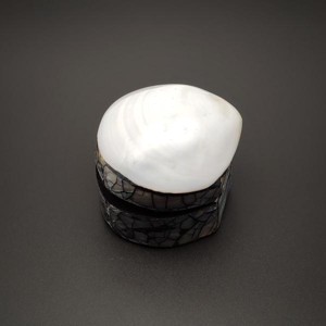 Fehér kagyló ékszertartó doboz ékszerekhez ajándékhoz 566 cm, Ékszer, Ékszertartó, Ékszerdoboz, , MESKA