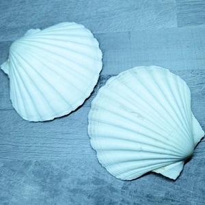 Epoxy gyantás Shell kagyló  - ékszer - ékszertartó - ékszerdoboz - Meska.hu