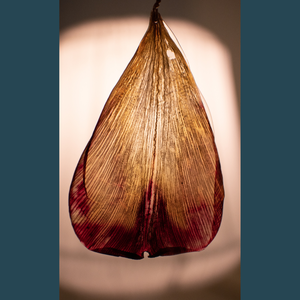 Tulipánszirom medál - Meska.hu