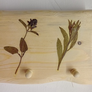 Fogas valódi préselt növényekkel - otthon & életmód - bútor - fogas - Meska.hu