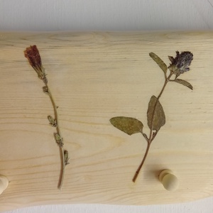 Fogas valódi préselt növényekkel - otthon & életmód - bútor - fogas - Meska.hu