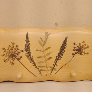 Fogas préselt növényekkel - otthon & életmód - bútor - fogas - Meska.hu