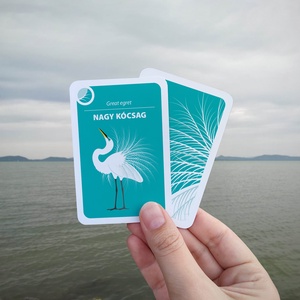 Fekete Péter kártya  A Balaton állatai - játék & sport - táblajáték és kártyajáték - kártya - Meska.hu