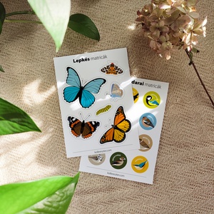 Matricaív (A6-os) � Lepkés - Meska.hu