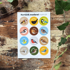 Matricaív (A6-os) � Kertünk madarai - kellékek & szerszámok - dekorációs kellékek - matricaív - Meska.hu