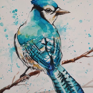 Kék Szajkó (Eredeti festmény) - Meska.hu