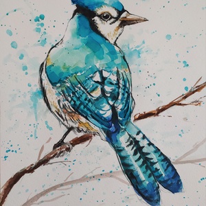 Kék Szajkó (Eredeti festmény) - művészet - grafika & illusztráció - Meska.hu