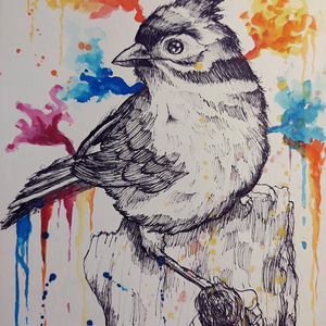 Szajkó (Eredeti alkotás) - Meska.hu