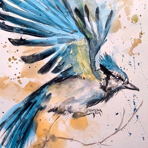 Szajkó akvarell festmény - Meska.hu