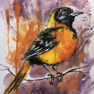 Sárgarigó akvarell festmény - Meska.hu