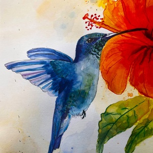 Kolibri akvarell festmény, Művészet, Festmény, Akvarell, , MESKA