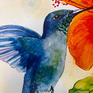 Kolibri akvarell festmény - művészet - festmény - akvarell - Meska.hu