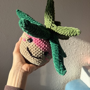 Horgolt aloe vera növény - otthon & életmód - virágdekoráció - virágdíszek - virágdísz kaspóban - Meska.hu