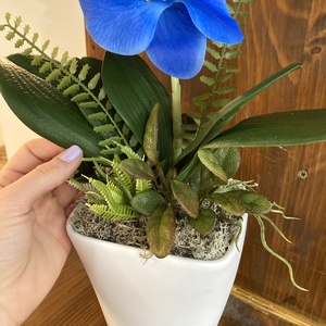 Nagy virgú kék orchidea 60 cm - otthon & életmód - dekoráció - asztal és polc dekoráció - asztaldísz - Meska.hu