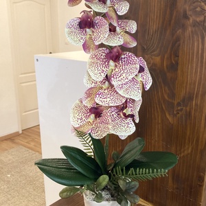 Foltos mintás orchidea kerámiban - otthon & életmód - dekoráció - asztal és polc dekoráció - asztaldísz - Meska.hu