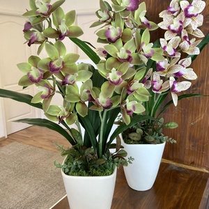 Cymbidium csónak orchidea 60 cm - otthon & életmód - dekoráció - asztal és polc dekoráció - asztaldísz - Meska.hu