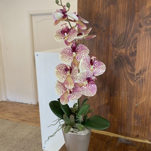 Foltos-mintás Orchidea 60 cm - otthon & életmód - dekoráció - asztal és polc dekoráció - asztaldísz - Meska.hu