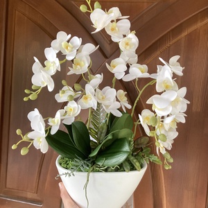 Fehèr örök orchidea 50 cm , Otthon & Lakás, Dekoráció, Asztal és polc dekoráció, Asztaldísz, Virágkötés, Fehér színű kerámia kaspós orchidea.
3 ágas ès 3 mellékágas orchideàval.
Dupla orchidea levèllel ès..., MESKA