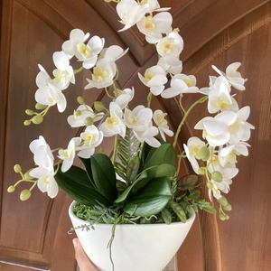 Fehér orchidea 50 cm - otthon & életmód - dekoráció - asztal és polc dekoráció - asztaldísz - Meska.hu