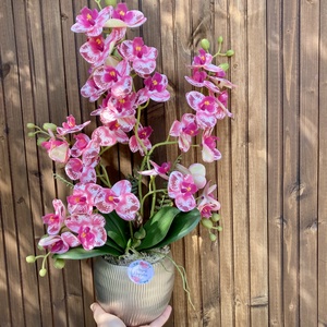 Nagy orchidea asztaldísz, Otthon & Életmód, Dekoráció, Asztal és polc dekoráció, Asztaldísz, Virágkötés, MESKA
