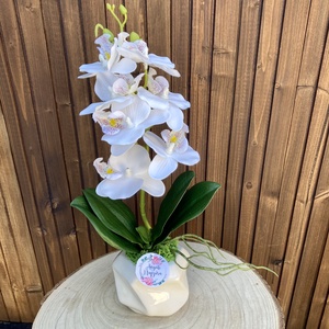 Anyák napi orchidea asztaldísz, Otthon & Életmód, Dekoráció, Asztal és polc dekoráció, Asztaldísz, Virágkötés, MESKA