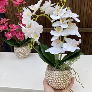 Orchidea asztaldísz - otthon & életmód - dekoráció - asztal és polc dekoráció - asztaldísz - Meska.hu Orchidea asztaldísz - otthon & életmód - dekoráció - asztal és polc dekoráció - asztaldísz - Meska.hu