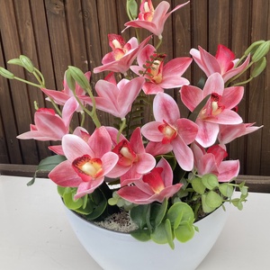 Orchidea asztaldísz 34 cm - otthon & életmód - virágdekoráció - virágdíszek - virágdísz kaspóban - Meska.hu
