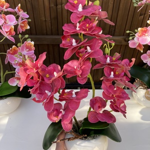 Nőnapi Orchidea asztaldísz - otthon & életmód - virágdekoráció - virágdíszek - virágdísz kaspóban - Meska.hu